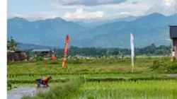 Sawah Produktif Menyusut, Tim Pengawasan REPRO Minta Pemkab Maros Perketat Pengawasan