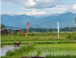 Sawah Produktif Menyusut, Tim Pengawasan REPRO Minta Pemkab Maros Perketat Pengawasan