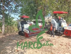 Alsitan Combine “Ngumpet” di Pinggir Sungai, Mau Panen Padi atau Panen Tanda Tanya?